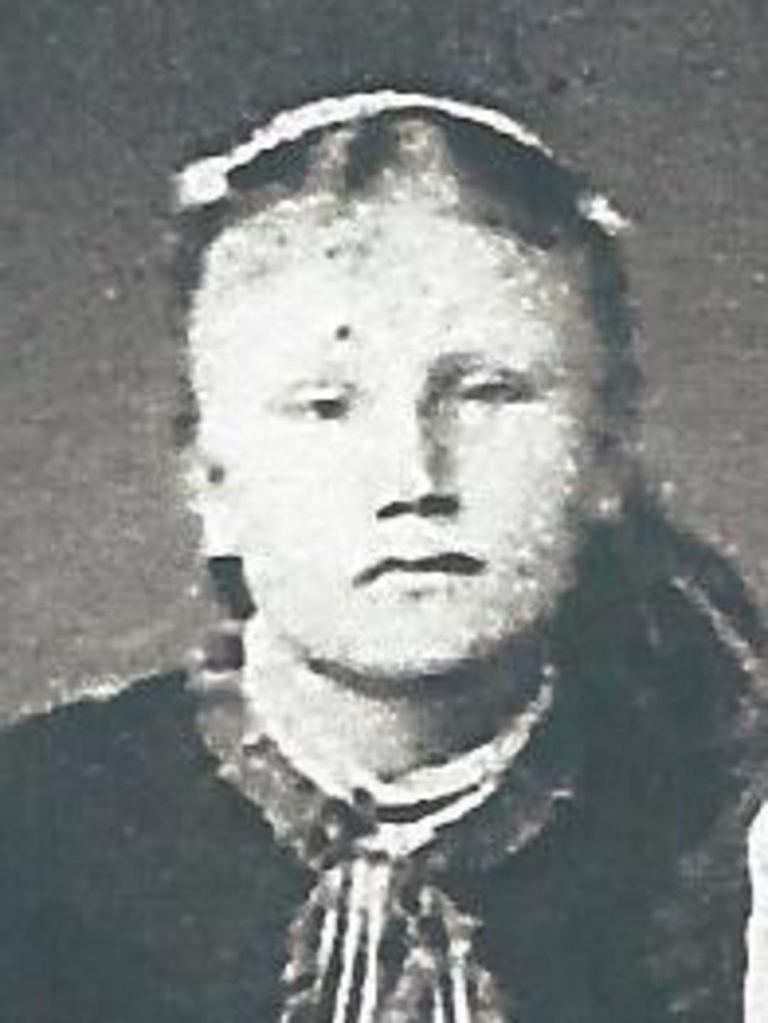 Ingeborg Andersen (1846 - 1917) Profile